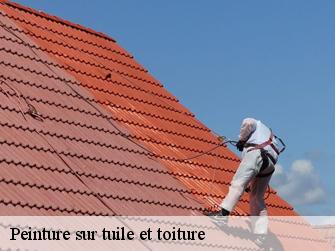 Peinture sur tuile et toiture  62180