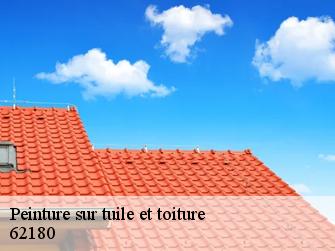 Peinture sur tuile et toiture  62180