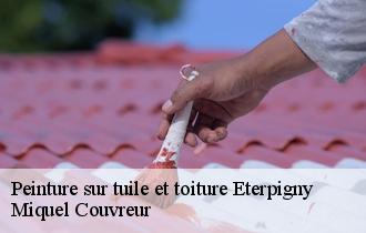 Peinture sur tuile et toiture  eterpigny-62156 Miquel Couvreur