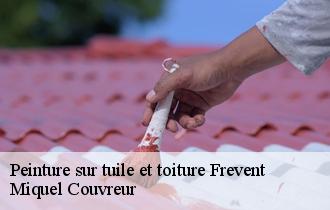 Peinture sur tuile et toiture  frevent-62270 Miquel Couvreur