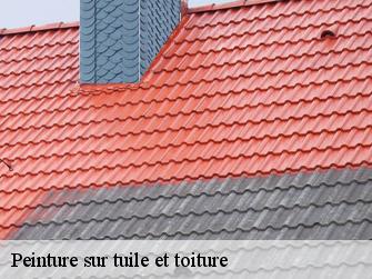 Peinture sur tuile et toiture