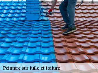 Peinture sur tuile et toiture