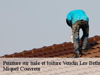 Peinture sur tuile et toiture  62232