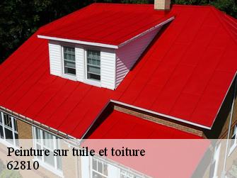 Peinture sur tuile et toiture