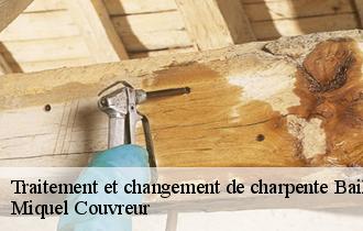 Traitement et changement de charpente  bailleul-les-pernes-62550 Miquel Couvreur