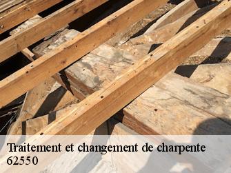 Traitement et changement de charpente  62550