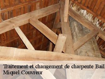 Traitement et changement de charpente  62550