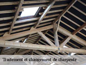 Traitement et changement de charpente  62550