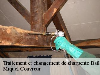 Traitement et changement de charpente