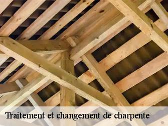 Traitement et changement de charpente