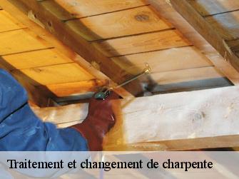 Traitement et changement de charpente