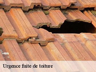 Urgence fuite de toiture