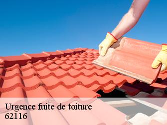 Urgence fuite de toiture  62116