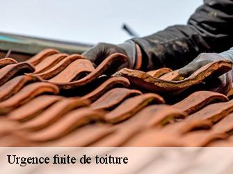 Urgence fuite de toiture