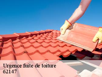 Urgence fuite de toiture  62147