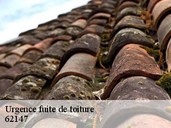 Urgence fuite de toiture