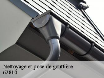 Nettoyage et pose de gouttière  62810