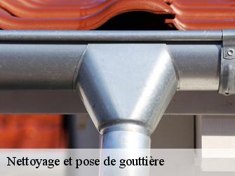 Nettoyage et pose de gouttière