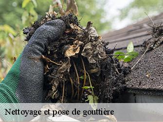 Nettoyage et pose de gouttière  62960