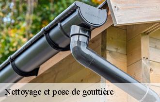Nettoyage et pose de gouttière 62370