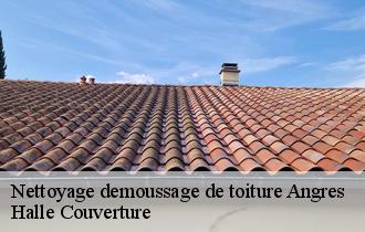 Nettoyage demoussage de toiture  angres-62143 Halle Couverture