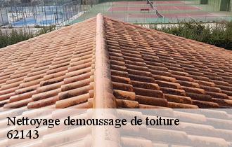 Nettoyage demoussage de toiture  62143