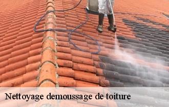 Nettoyage demoussage de toiture