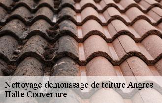 Nettoyage demoussage de toiture  62143