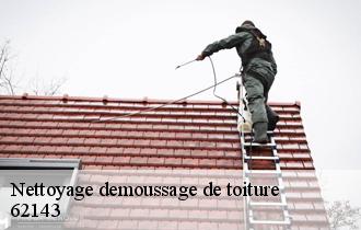 Nettoyage demoussage de toiture