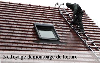 Nettoyage demoussage de toiture  62143