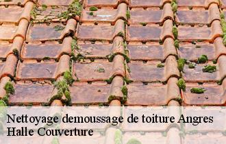 Nettoyage demoussage de toiture