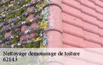 Nettoyage demoussage de toiture  62143