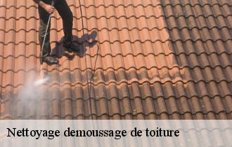 Nettoyage demoussage de toiture