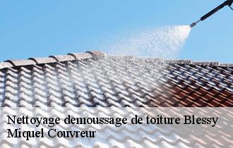 Nettoyage demoussage de toiture  blessy-62120 Miquel Couvreur