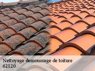 Nettoyage demoussage de toiture  62120