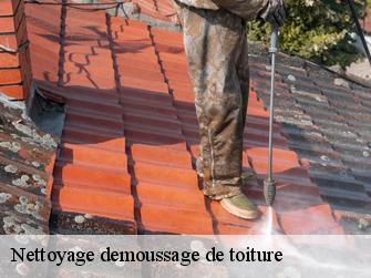 Nettoyage demoussage de toiture  62120