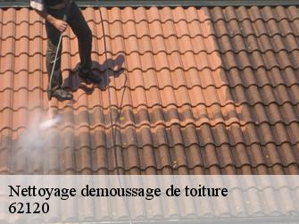 Nettoyage demoussage de toiture  62120