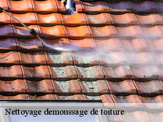 Nettoyage demoussage de toiture