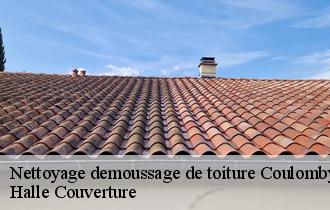 Nettoyage demoussage de toiture coulomby-62380 Halle Couverture