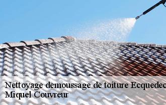 Nettoyage demoussage de toiture  ecquedecques-62190 Miquel Couvreur