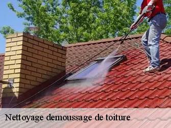 Nettoyage demoussage de toiture