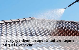 Nettoyage demoussage de toiture  lepine-62170 Miquel Couvreur