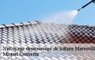 Nettoyage demoussage de toiture  maresville-62630 Miquel Couvreur