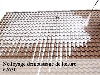 Nettoyage demoussage de toiture