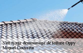 Nettoyage demoussage de toiture  oppy-62580 Miquel Couvreur