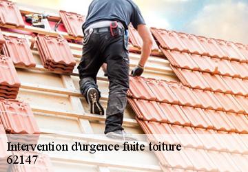 Intervention d'urgence fuite toiture   62147