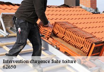 Intervention d'urgence fuite toiture 