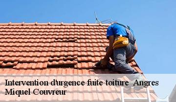 Intervention d'urgence fuite toiture   angres-62143 Miquel Couvreur