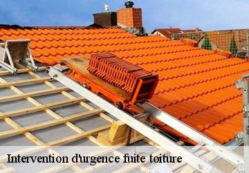 Intervention d'urgence fuite toiture   62143