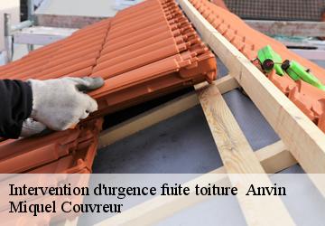 Intervention d'urgence fuite toiture   62134